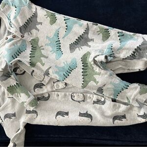 Dinosaur and Animal Print Baby Onesies
